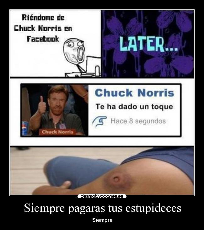 Siempre pagaras tus estupideces - 