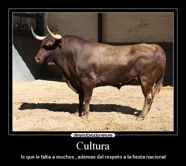 Cultura -