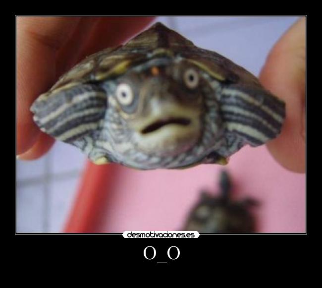 O_O -