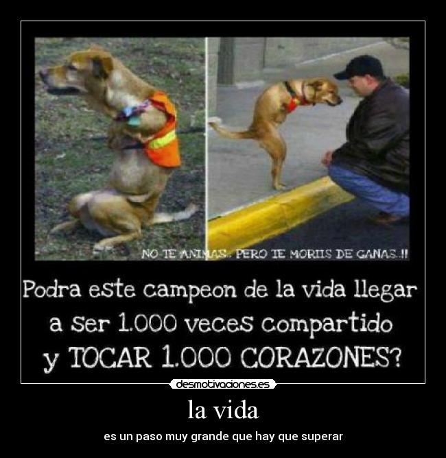 la vida - es un paso muy grande que hay que superar