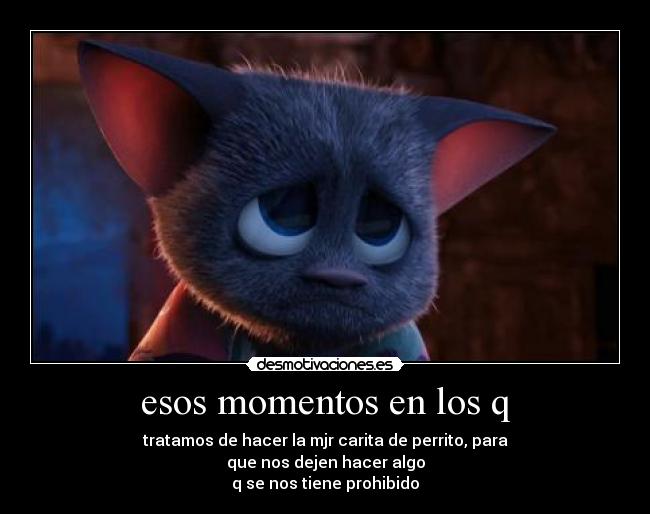 esos momentos en los q - tratamos de hacer la mjr carita de perrito, para
que nos dejen hacer algo
q se nos tiene prohibido