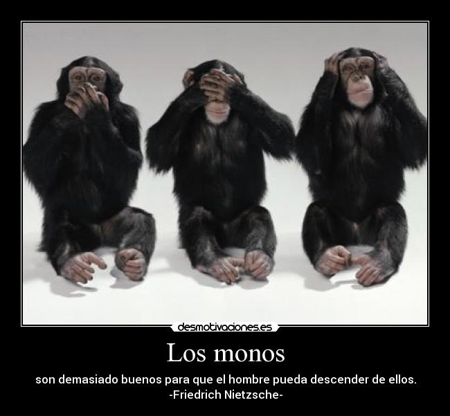 Los monos - son demasiado buenos para que el hombre pueda descender de ellos.
-Friedrich Nietzsche-