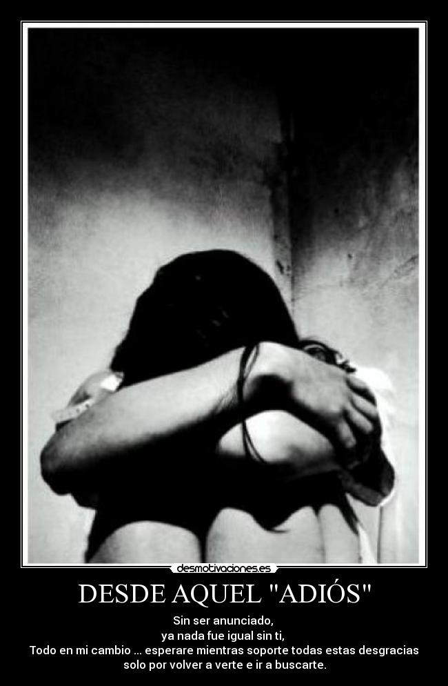 DESDE AQUEL ADIÓS - Sin ser anunciado,
ya nada fue igual sin ti,
Todo en mi cambio ... esperare mientras soporte todas estas desgracias
solo por volver a verte e ir a buscarte.