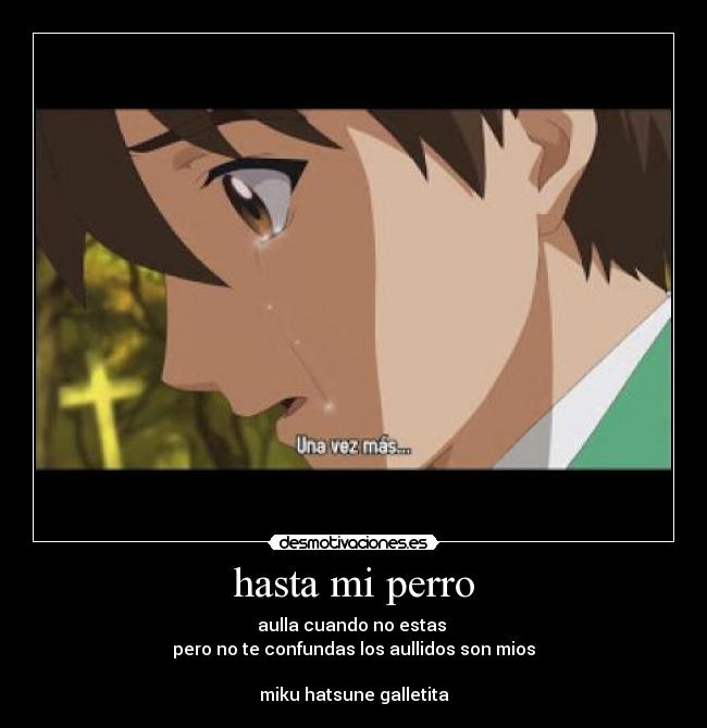 hasta mi perro - 
