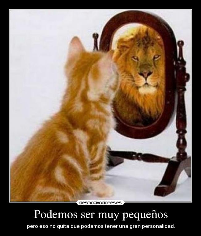 Podemos ser muy pequeños - pero eso no quita que podamos tener una gran personalidad.