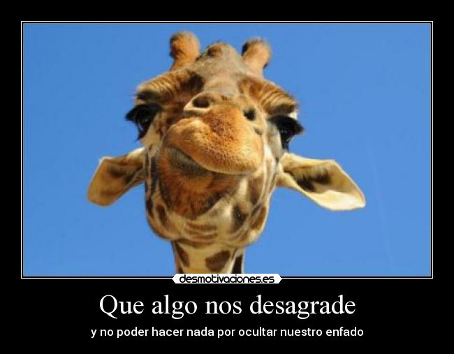 Que algo nos desagrade - y no poder hacer nada por ocultar nuestro enfado