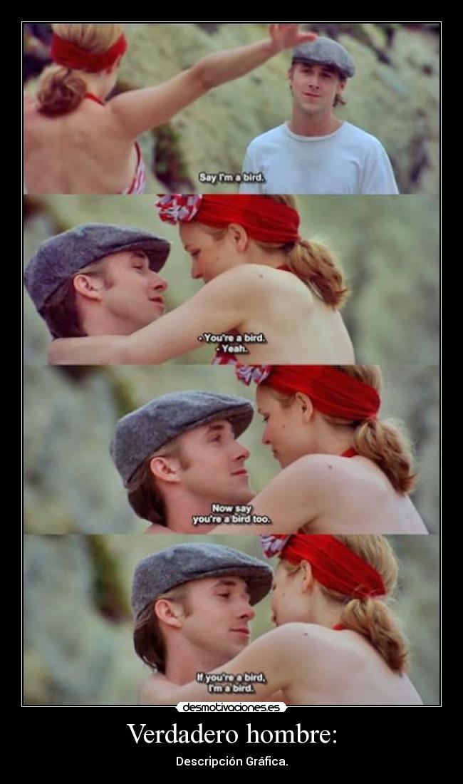 carteles miuenthecat desmotivaciones