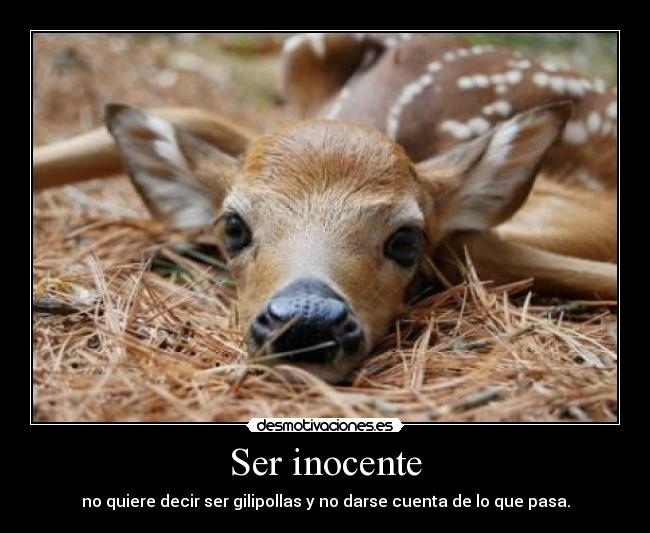 Ser inocente - no quiere decir ser gilipollas y no darse cuenta de lo que pasa.