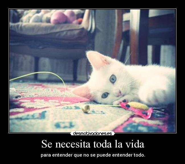 Se necesita toda la vida - para entender que no se puede entender todo.