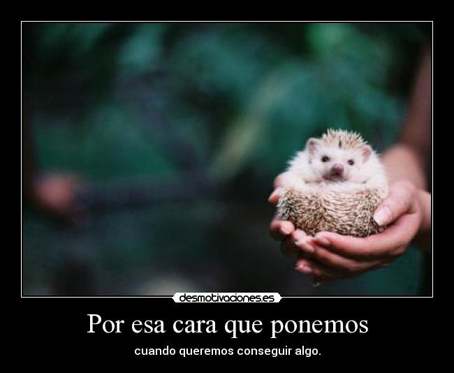 Por esa cara que ponemos - 