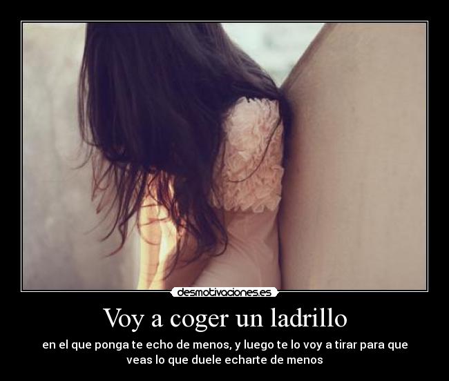 Voy a coger un ladrillo - en el que ponga te echo de menos, y luego te lo voy a tirar para que
veas lo que duele echarte de menos