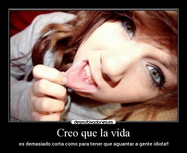 carteles vida vida desmotivaciones