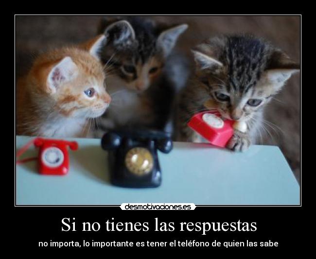 carteles repuestas telefono desmotivaciones