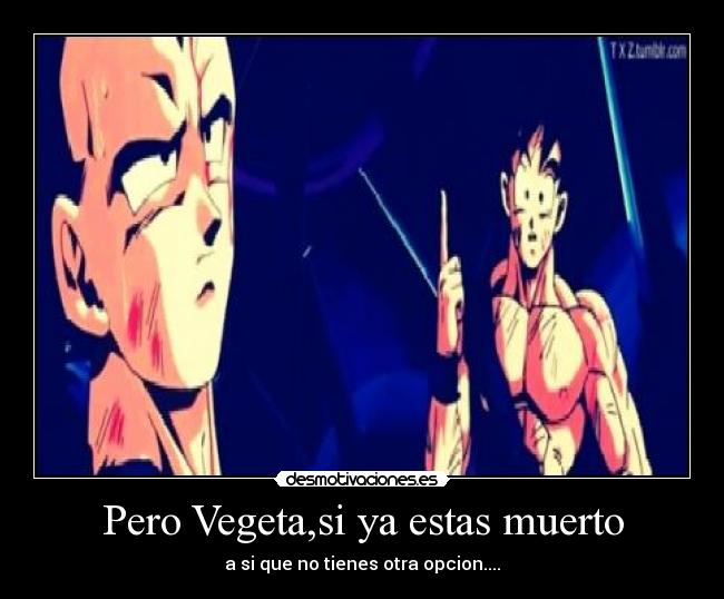 carteles saga buu vegeta goku dragon ball desmotivaciones