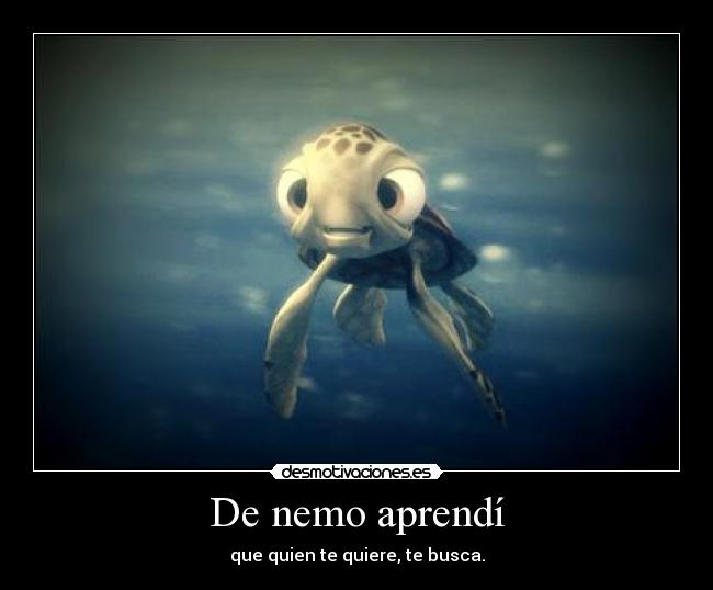 De nemo aprendí - que quien te quiere, te busca.