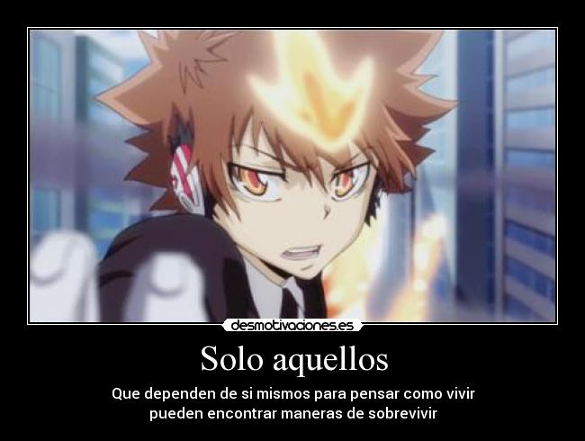 carteles solo aquellos anime otaku reborn hitman thuna sawada desmotivaciones