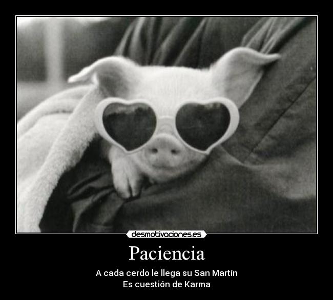 Paciencia - A cada cerdo le llega su San Martín
Es cuestión de Karma