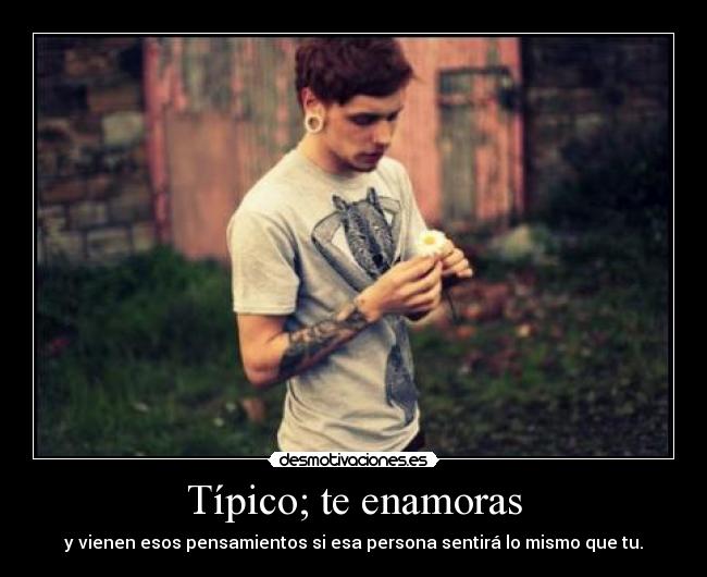 Típico; te enamoras -
