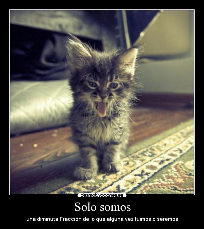 Solo somos -