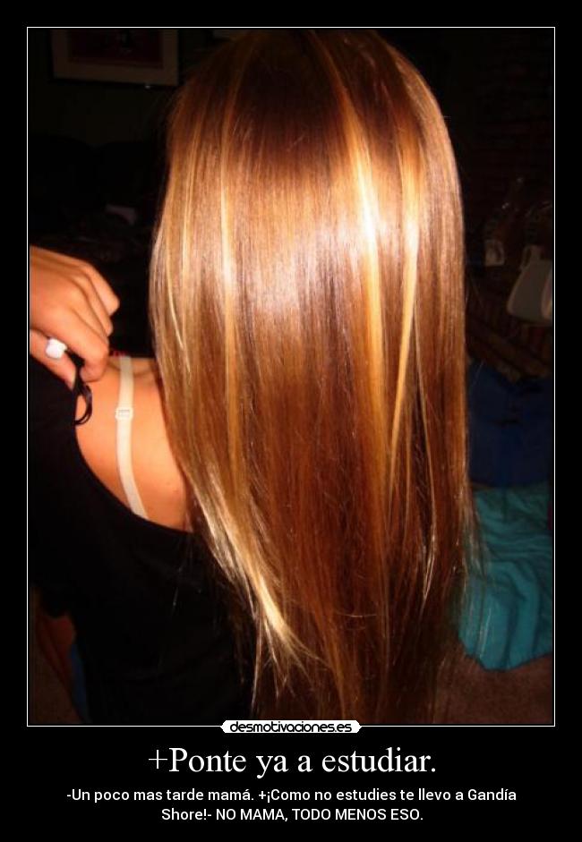 carteles ponte estudiar desmotivaciones