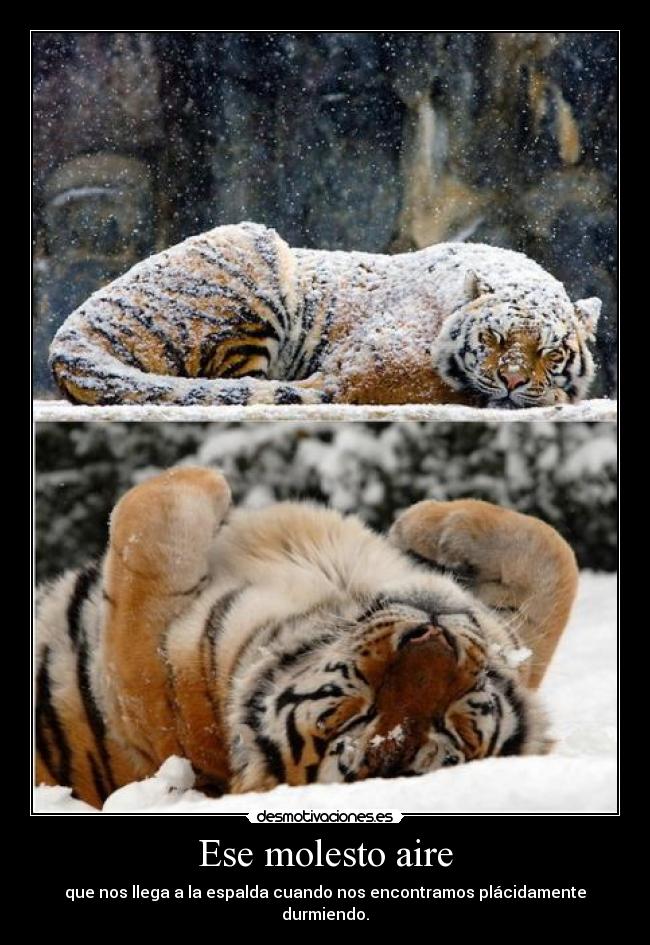 Ese molesto aire -