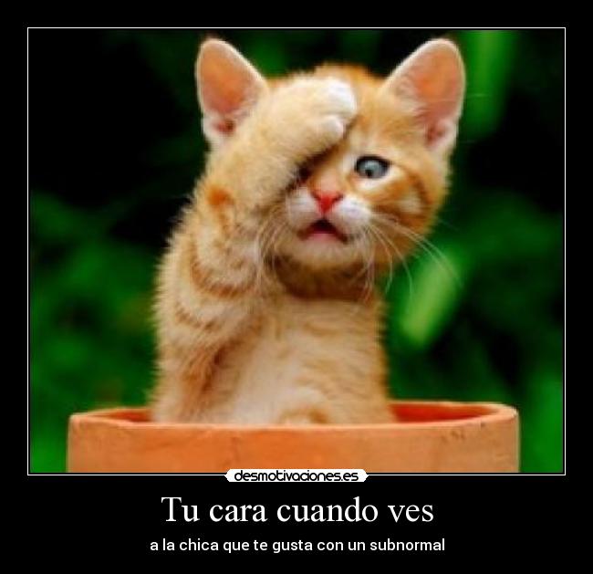 Tu cara cuando ves - a la chica que te gusta con un subnormal