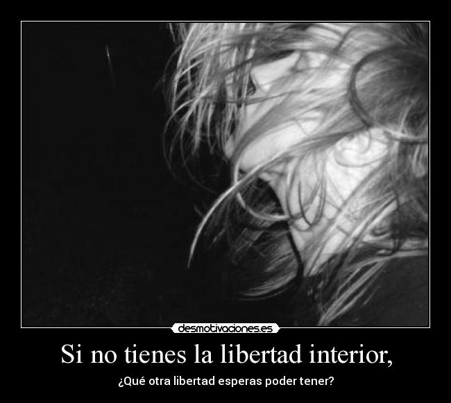 carteles libertad metalhead longhairedguy pero nos podran quitar libertaaaaaaaaad okno arturo graf grrauh desmotivaciones