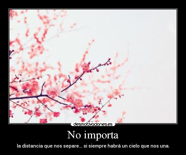 No importa - la distancia que nos separe... si siempre habrá un cielo que nos una.