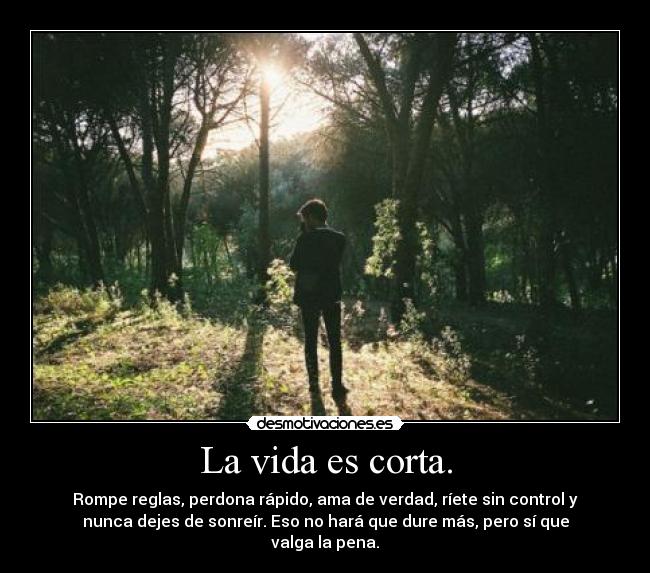 La vida es corta. - 
