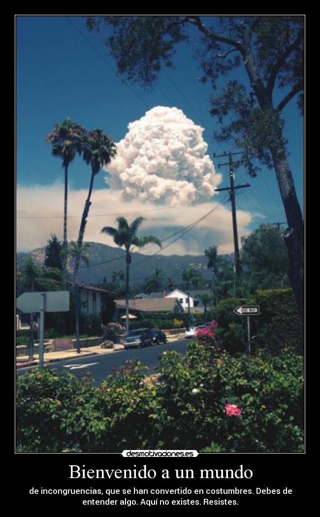 Bienvenido a un mundo - de incongruencias, que se han convertido en costumbres. Debes de
entender algo. Aquí no existes. Resistes.