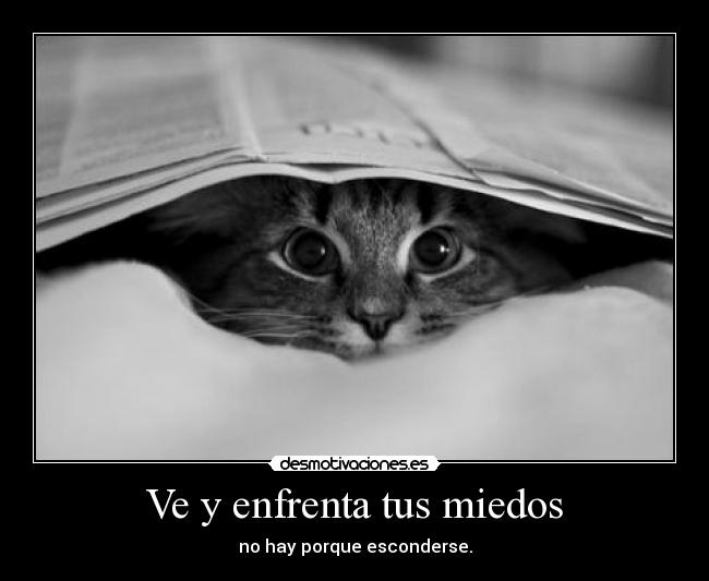 Ve y enfrenta tus miedos - 