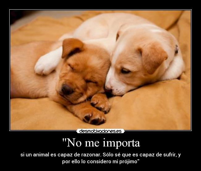No me importa - si un animal es capaz de razonar. Sólo sé que es capaz de sufrir, y
por ello lo considero mi prójimo