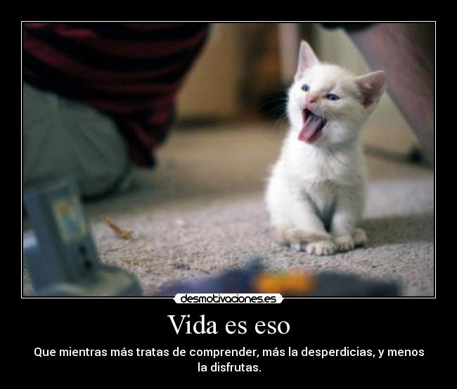 carteles vida vida desmotivaciones