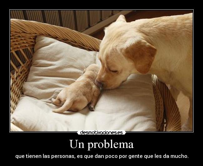 Un problema - 