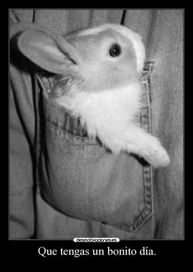 Que tengas un bonito día. -