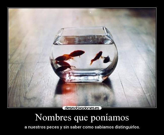 Nombres que poníamos - a nuestros peces y sin saber como sabíamos distinguirlos.