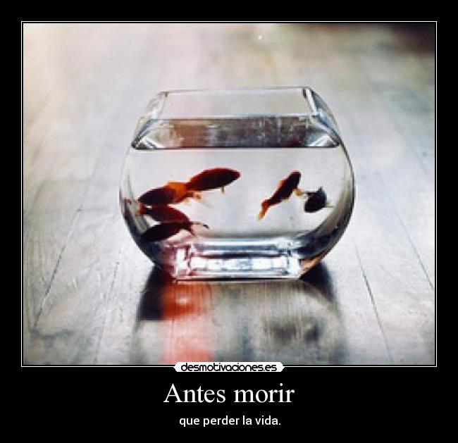 Antes morir - que perder la vida.