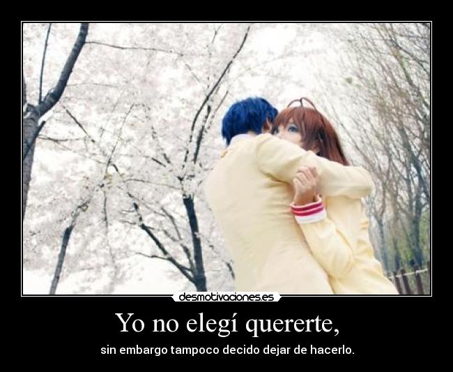 Yo no elegí quererte, - sin embargo tampoco decido dejar de hacerlo.