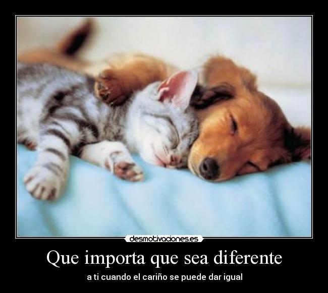 Que importa que sea diferente - 