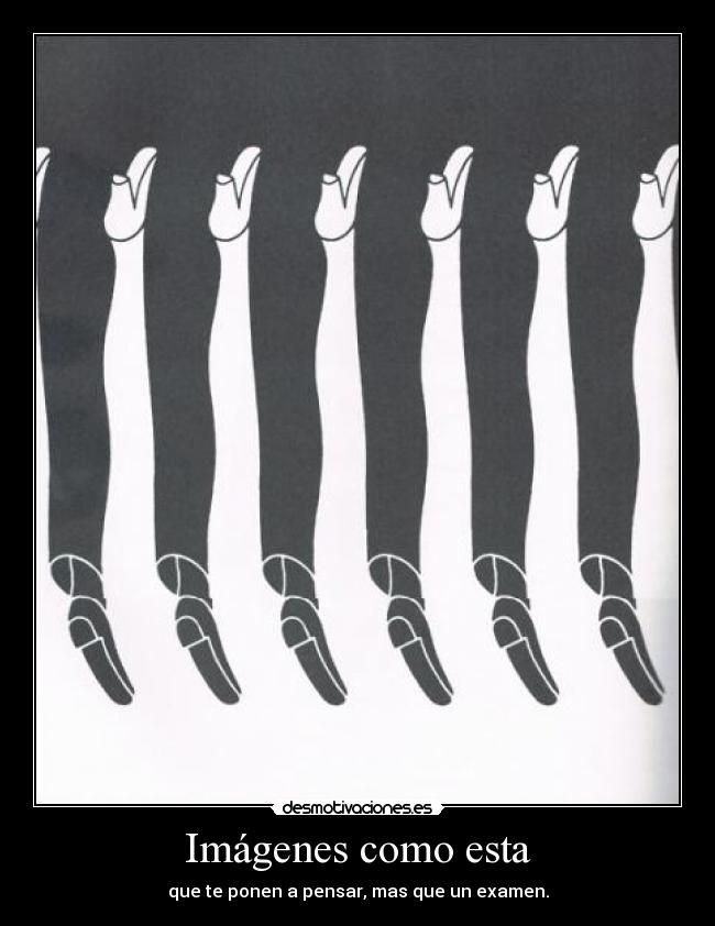 Imágenes como esta - que te ponen a pensar, mas que un examen.