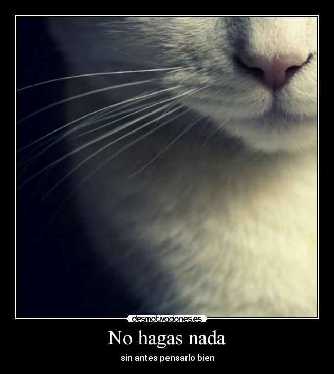 No hagas nada -