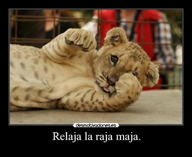 Relaja la raja maja. - 