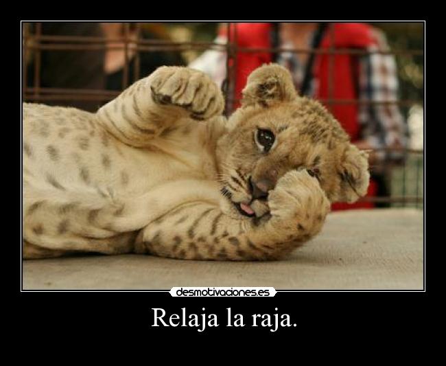 Relaja la raja. - 