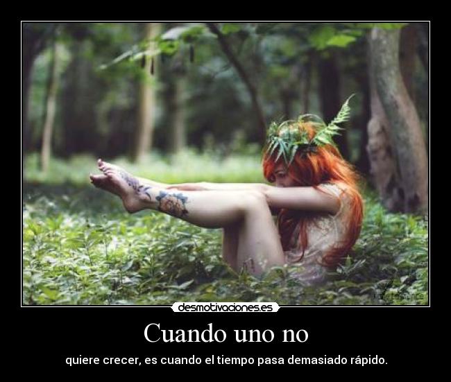 carteles gorgonzola aveces miro lloro lloro pensando que pudo fue final desmotivaciones