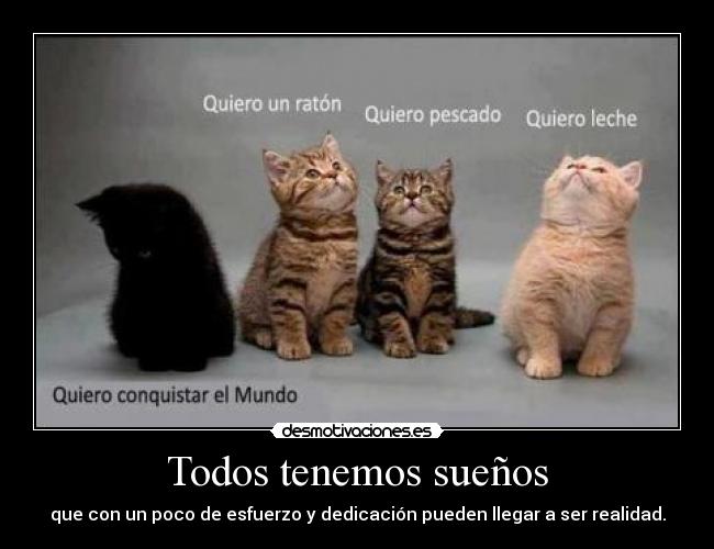 Todos tenemos sueños - 