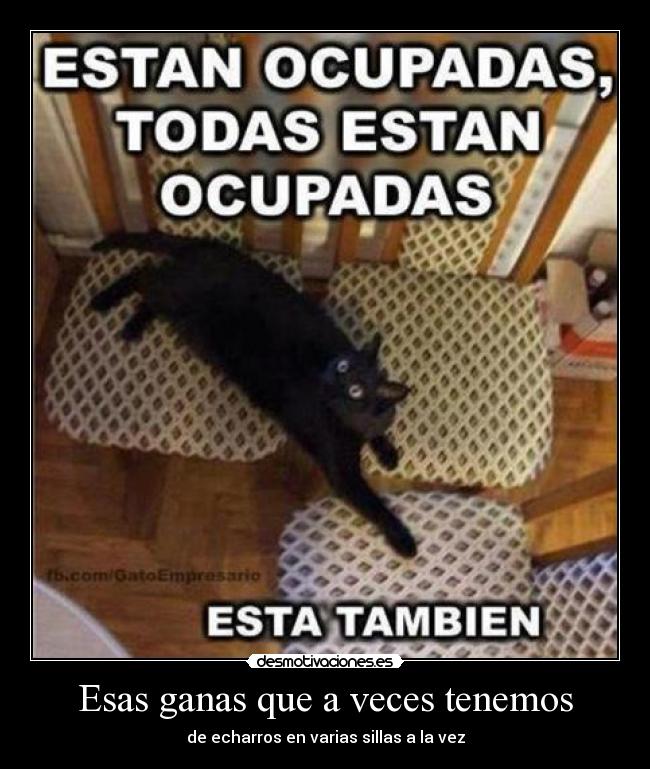 Esas ganas que a veces tenemos - de echarros en varias sillas a la vez