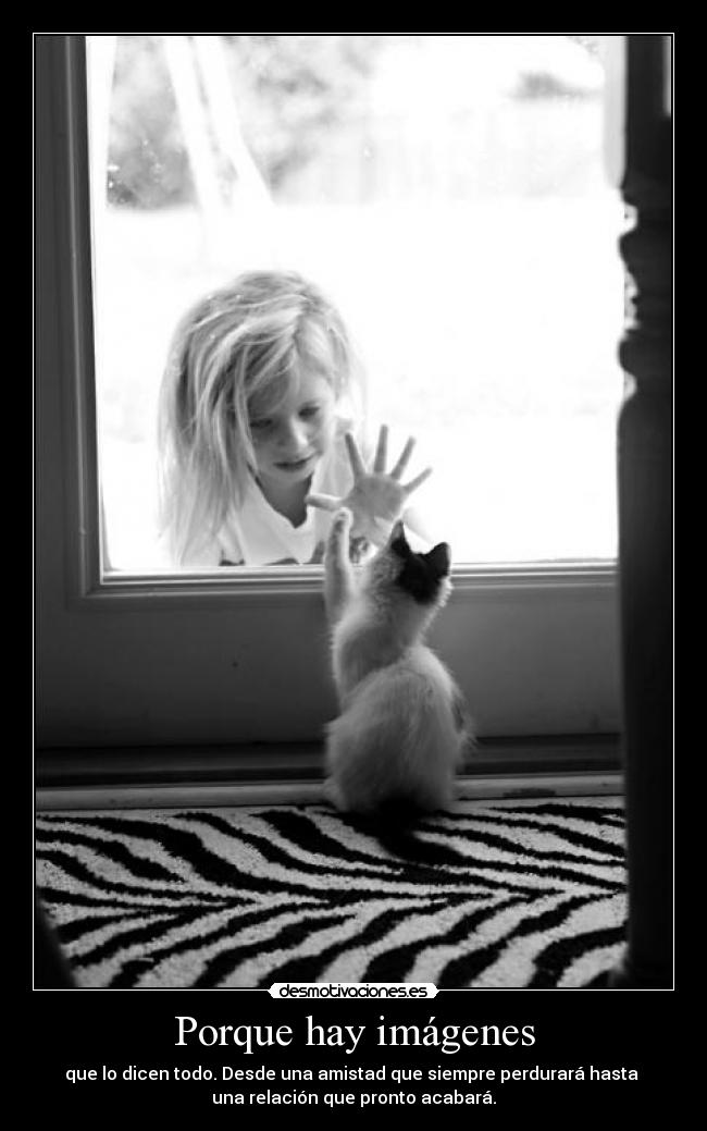 Porque hay imágenes - que lo dicen todo. Desde una amistad que siempre perdurará hasta 
una relación que pronto acabará.