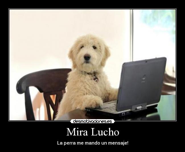 Mira Lucho -