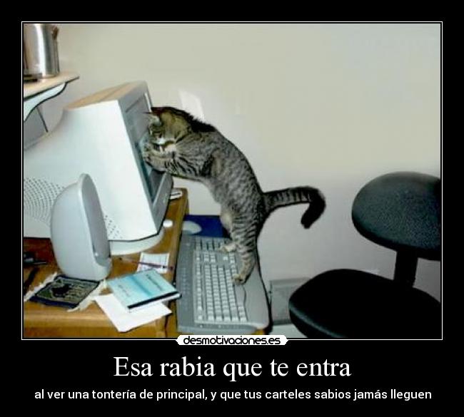 Esa rabia que te entra -