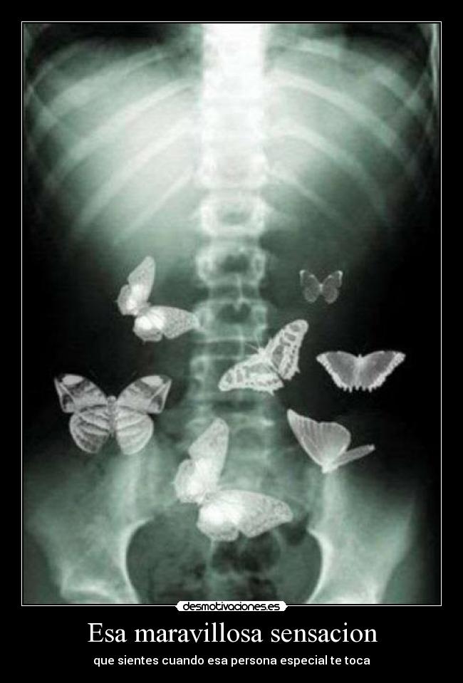 Esa maravillosa sensacion -